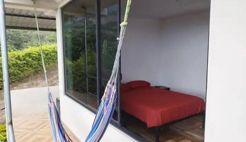 Basic Double or Twin Room