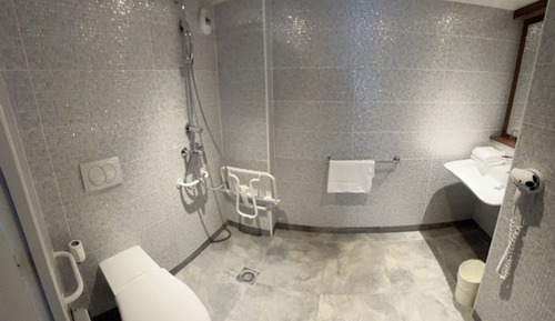 Habitación, 1 cama doble, accesible para personas con discapacidad