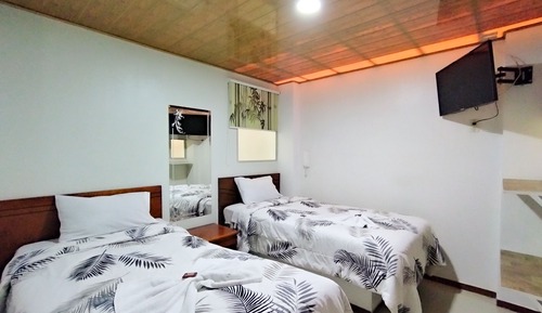 Habitación ejecutiva, 2 camas individuales