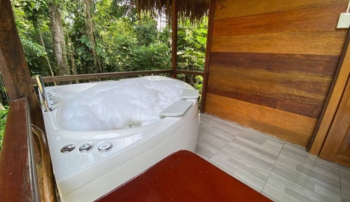 Suite presidencial, 1 habitación, vistas al río, planta baja