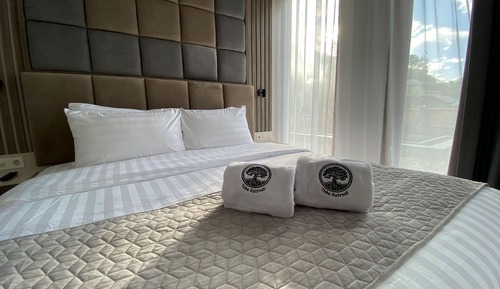 Habitación Deluxe doble