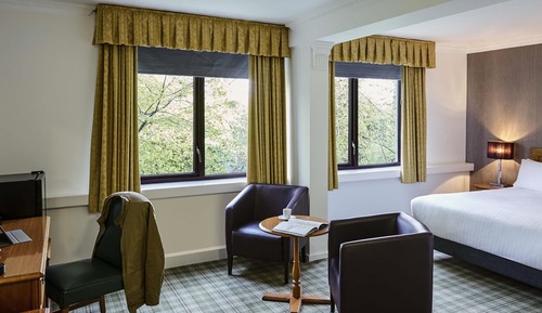 Privilege, Habitación, 1 cama doble