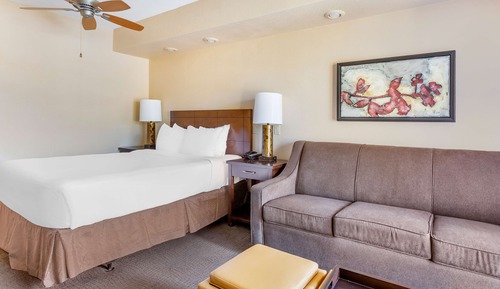 Estudio, 1 cama de matrimonio con sofá cama