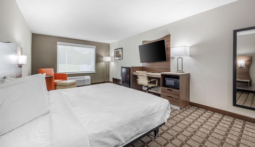 Habitación estándar, 1 cama de matrimonio grande, accesible para personas con discapacidad