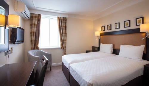 Habitación Deluxe con 2 camas individuales