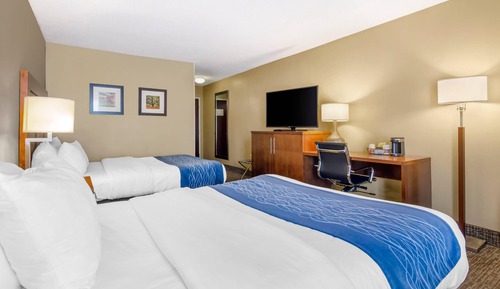 Habitación estándar, 2 camas de matrimonio