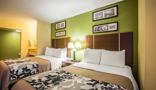 Habitación estándar doble, 2 camas dobles, no fumadores