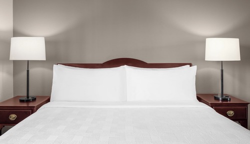 Suite ejecutiva, accesible para personas con discapacidad (Roll-In Shower)
