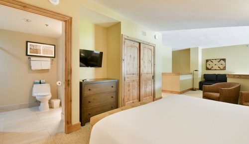 Habitación Deluxe, 1 habitación (Residence)