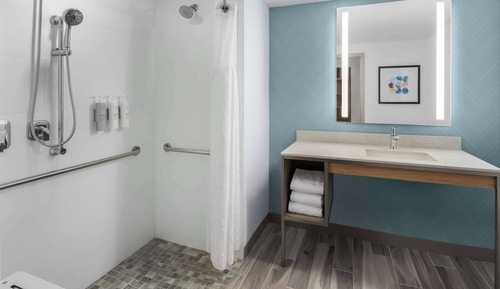 Habitación, 1 cama de matrimonio grande, accesible para personas con discapacidad (Roll-In Shower)