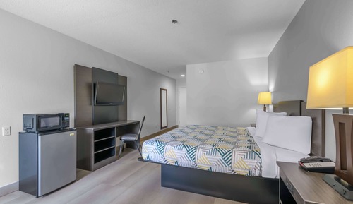 Habitación estándar, 1 cama de matrimonio grande, no fumadores, frigorífico y microondas