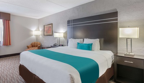 Habitación estándar, 1 cama de matrimonio grande, no fumadores, microondas