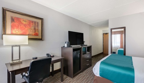 Habitación estándar, 1 cama de matrimonio, no fumadores, microondas