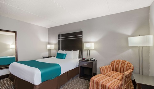 Habitación estándar, 1 cama de matrimonio, accesible para personas con discapacidad (Walk-in Shower)