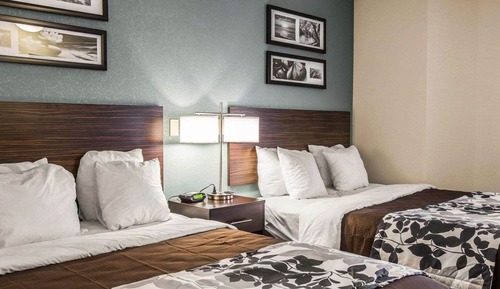 Habitación estándar, 2 camas de matrimonio, no fumadores