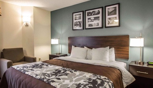 Habitación estándar, 1 cama de matrimonio grande, no fumadores