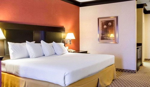 Habitación estándar, 1 cama de matrimonio grande, no fumadores