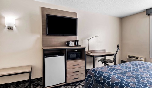 Habitación estándar, 1 cama de matrimonio, no fumadores, frigorífico y microondas