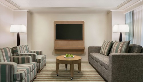 Suite presidencial, 1 cama de matrimonio grande