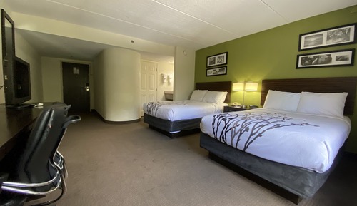 Habitación doble, 2 camas dobles, no fumadores