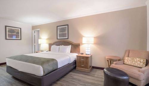 Suite, 1 cama de matrimonio grande con sofá cama, no fumadores
