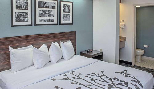 Habitación, 1 cama de matrimonio grande, accesible para personas con discapacidad, no fumadores