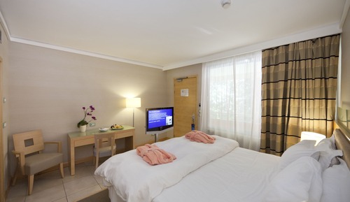 Suite, en la zona del jardín ( VIP)