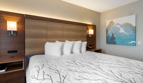 Habitación estándar, 1 cama de matrimonio grande, accesible para personas con discapacidad