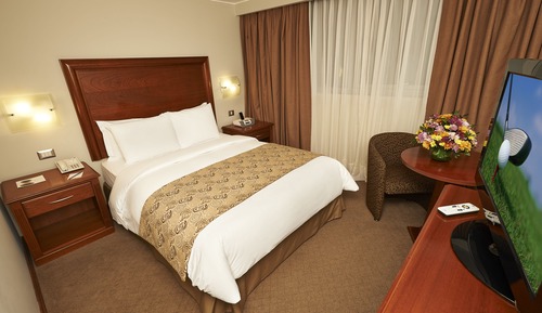 Habitación estándar, 1 cama doble