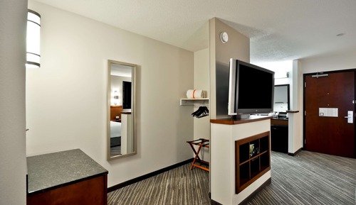 Habitación, 1 cama de matrimonio grande (Roll-In Shower, No Sofabed)