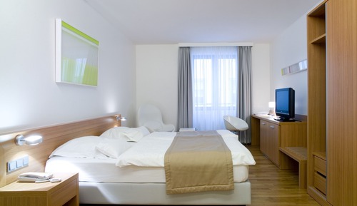 Habitación estándar doble, 1 cama doble