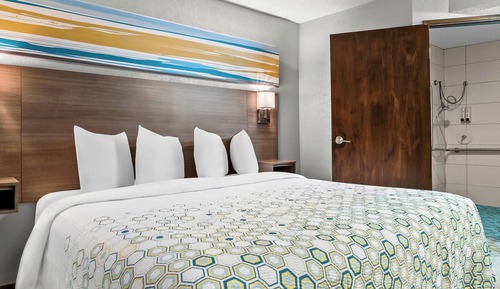Estudio, 1 cama de matrimonio grande, accesible para personas con discapacidad (Roll-In Shower)