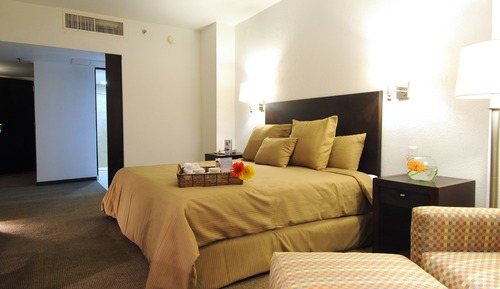 Habitación, 1 cama de matrimonio grande (Preferencial)