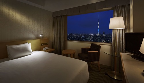 Habitación individual, no fumadores (SKYTREE View)