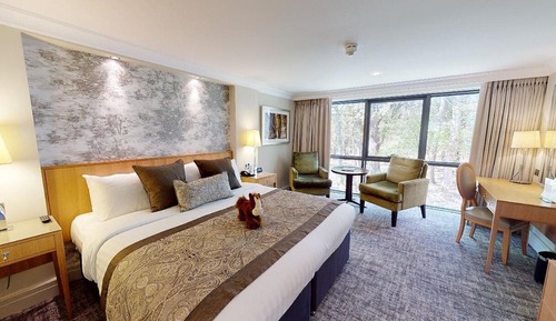 Habitación superior con 1 cama doble o 2 individuales