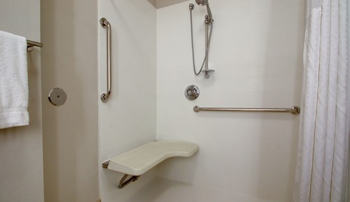 Habitación estándar, 1 cama de matrimonio (Communications, Roll-In Shower)