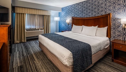 Habitación estándar, 1 cama de matrimonio, accesible para personas con discapacidad (Pet Friendly)