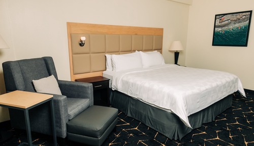 Habitación estándar, 1 cama de matrimonio grande