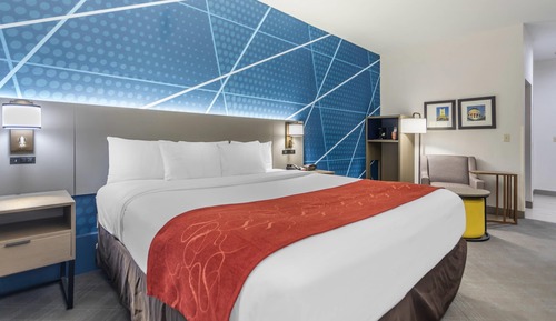 Suite, 1 cama de matrimonio grande, accesible para personas con discapacidad, no fumadores