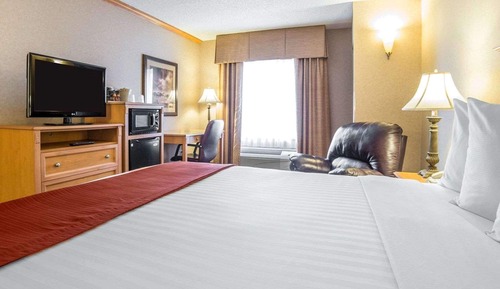 Habitación estándar, 1 cama de matrimonio grande, no fumadores