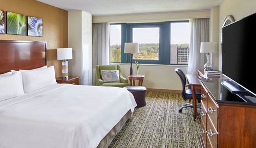 Habitación, 1 cama de matrimonio grande