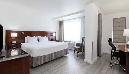 Habitación ejecutiva, 1 cama de matrimonio grande