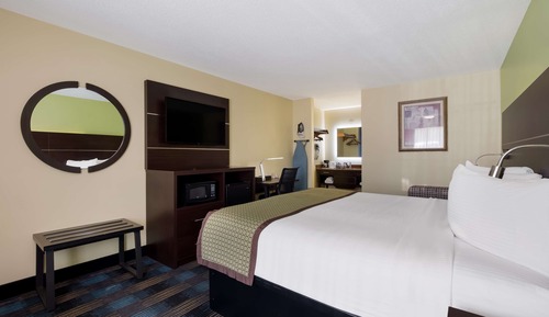 Habitación estándar, 1 cama de matrimonio grande, no fumadores, frigorífico y microondas