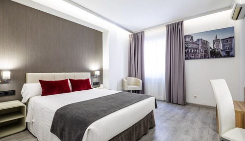 Habitación estándar con 1 cama doble o 2 individuales