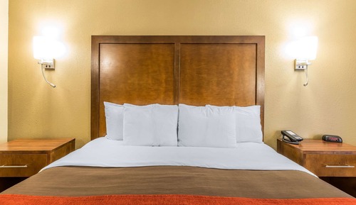 Habitación estándar, 1 cama de matrimonio grande