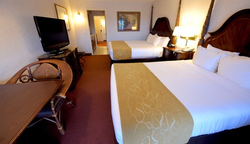 Suite tradicional, 1 habitación, balcón, vistas a la piscina