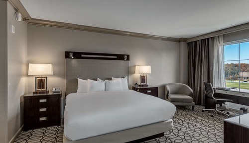 Suite Deluxe, 1 cama de matrimonio grande, no fumadores