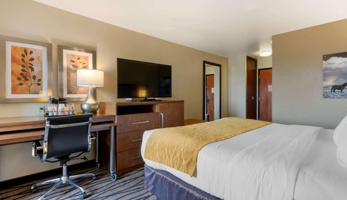 Habitación estándar, 1 cama de matrimonio grande, no fumadores