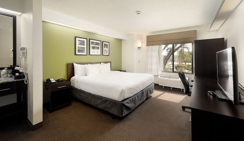 Habitación estándar, 1 cama de matrimonio grande, no fumadores, frigorífico y microondas