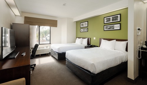 Habitación estándar, 2 camas dobles, no fumadores, frigorífico y microondas